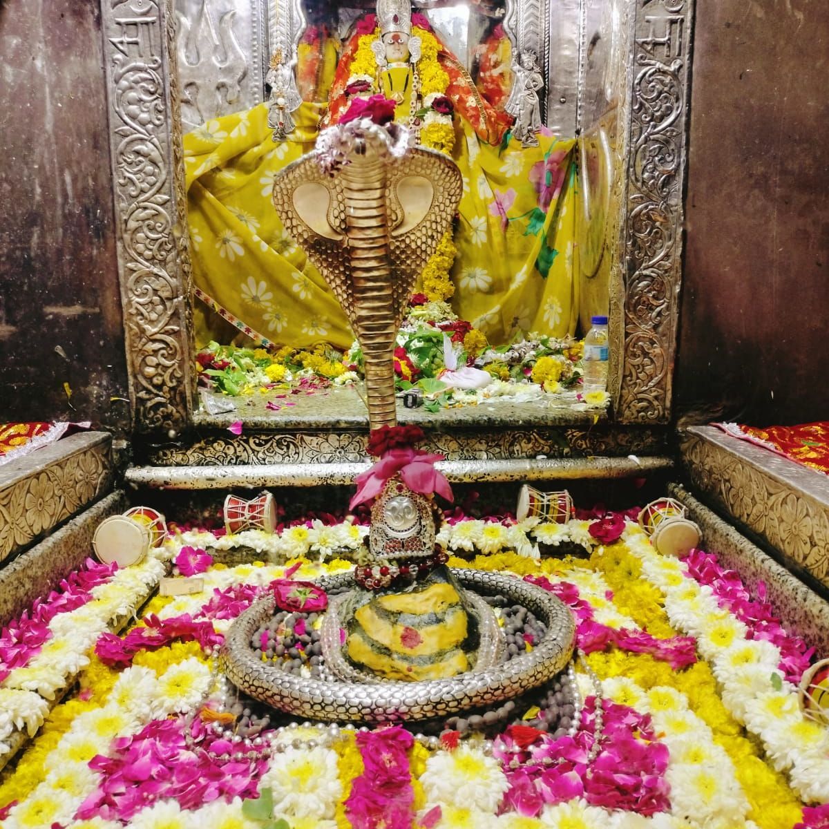 gangadher-gadicherla